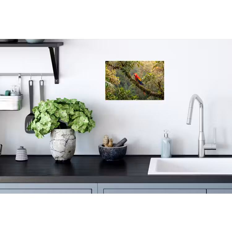 Muursticker - Ara - Jungle - Rood — 2