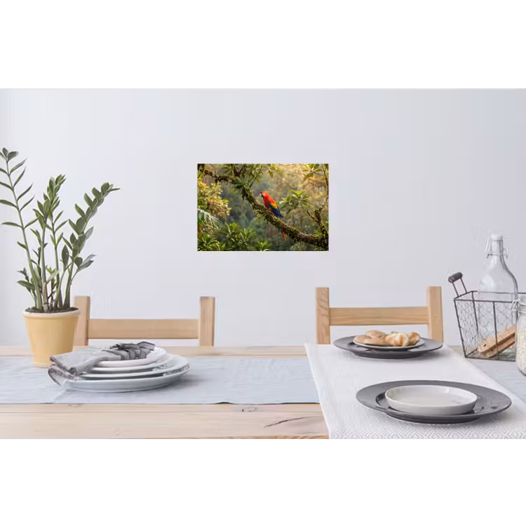 Muursticker - Ara - Jungle - Rood — 3
