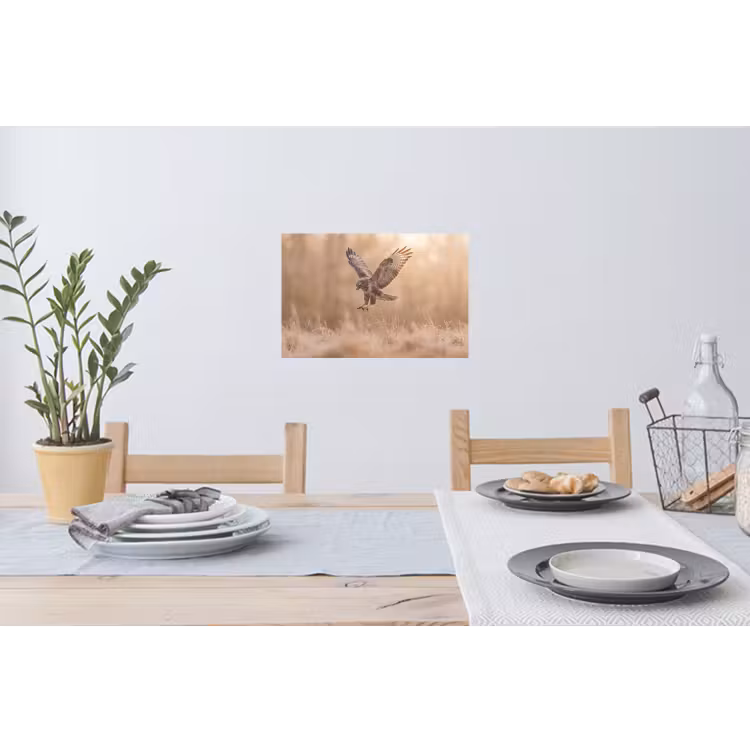 Muursticker - Buizerd - Roofvogel - Natuur - Bruin — 3