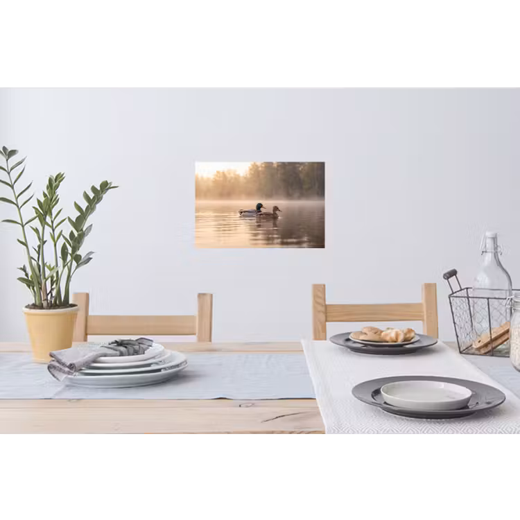 Muursticker - Eenden - Water - Mist - Natuur — 3