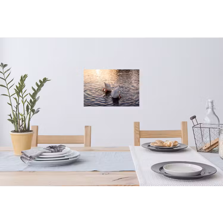 Muursticker - Eenden - Water - Natuur — 3