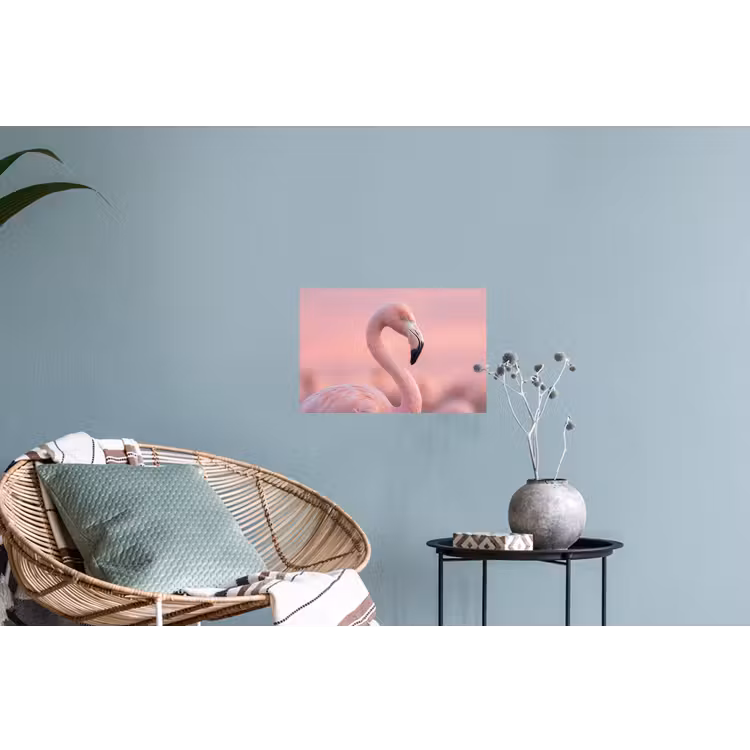 Muursticker - Flamingo - Portret - Roze — 4