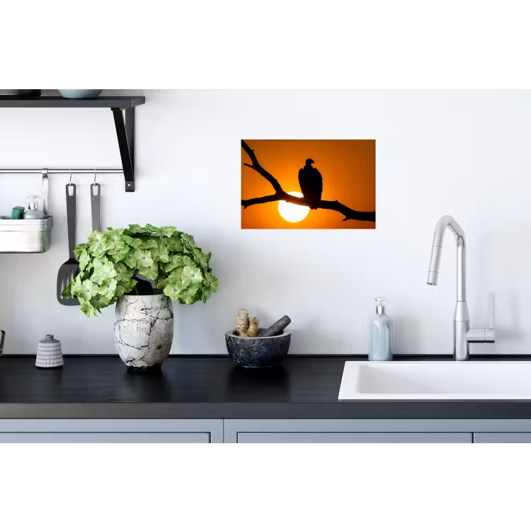 Muursticker - Gier - Tak - Zon - Oranje — 2