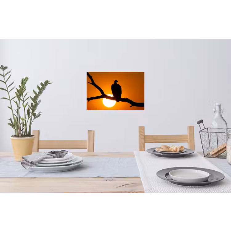 Muursticker - Gier - Tak - Zon - Oranje — 3