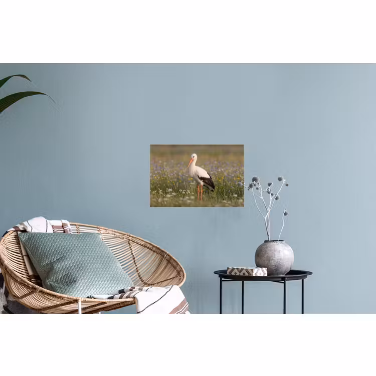 Muursticker - Ooienvaar - Bloemen - Weide - Kleurrijk — 4