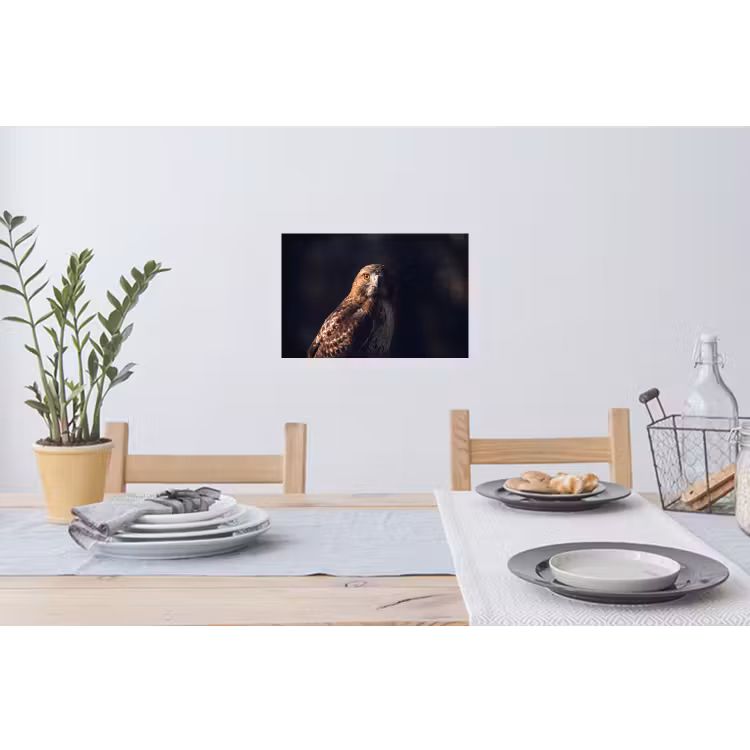Muursticker - Roofvogel - Buizerd - Bruin — 3