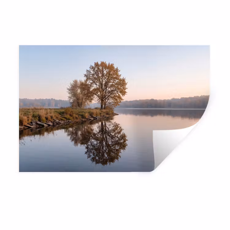 Muursticker - Bomen - Reflectie - Water - Zonsopgang - Serene — 1