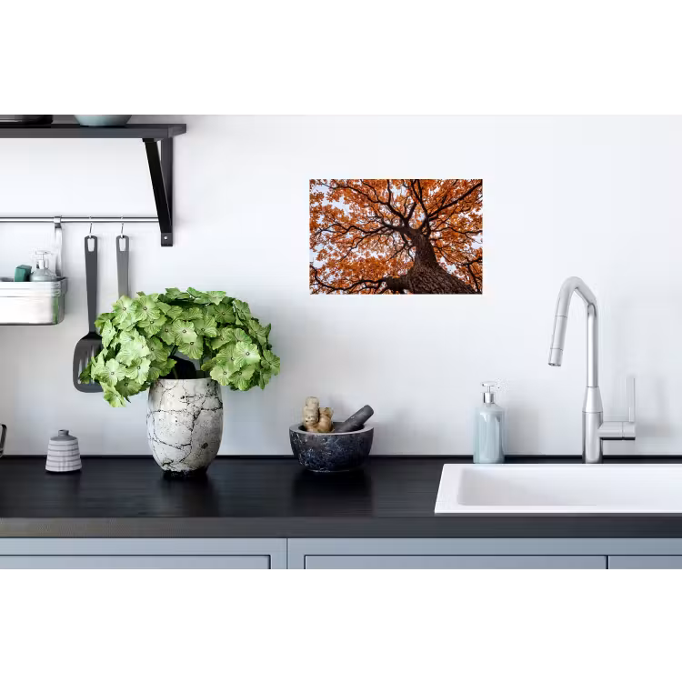 Muursticker - Boom - Bladerdak - Herfst - Oranje - Sfeervol — 2