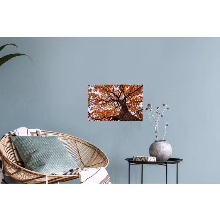 Muursticker - Boom - Bladerdak - Herfst - Oranje - Sfeervol — 4