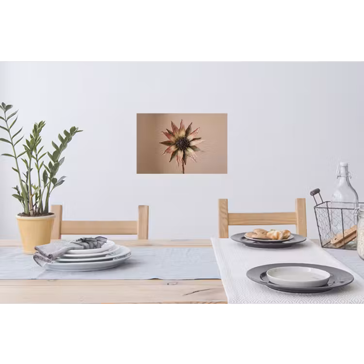 Muursticker - Droogbloem - Protea - Vintage - Beige - Rustiek — 3