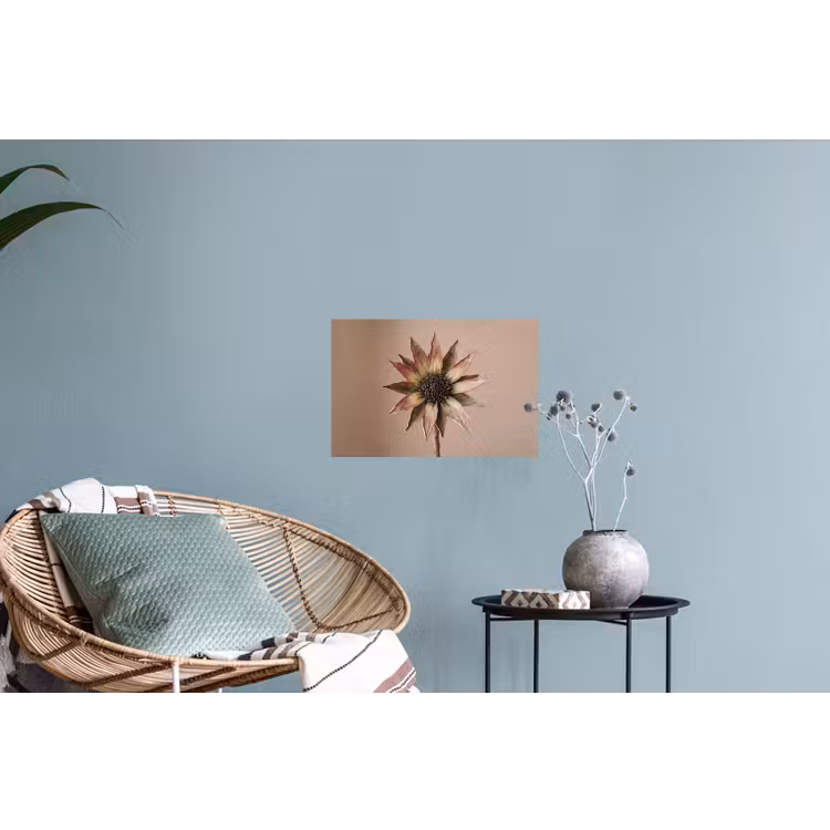 Muursticker - Droogbloem - Protea - Vintage - Beige - Rustiek — 4