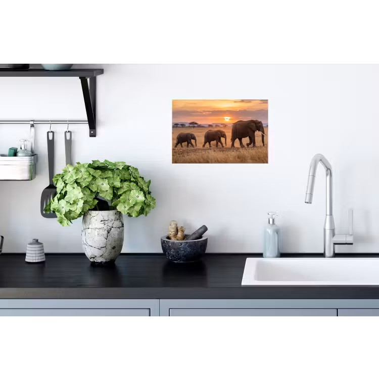 Muursticker - Olifanten - Savanne - Zonsondergang - Afrika - Warm — 2