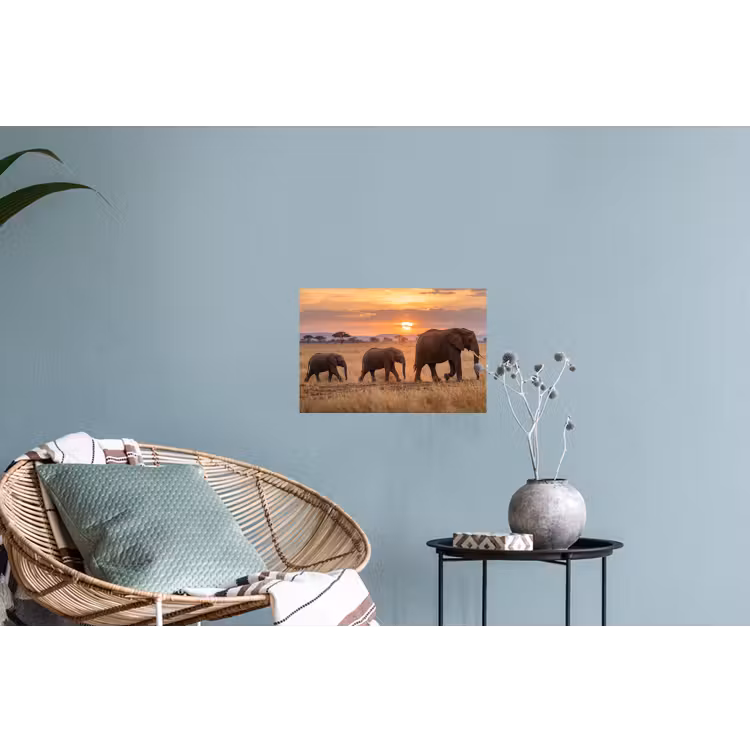 Muursticker - Olifanten - Savanne - Zonsondergang - Afrika - Warm — 4