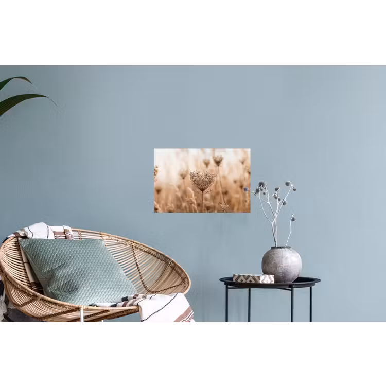 Muursticker - Schermbloem - Droogbloem - Winter - Beige - Minimalistisch — 4