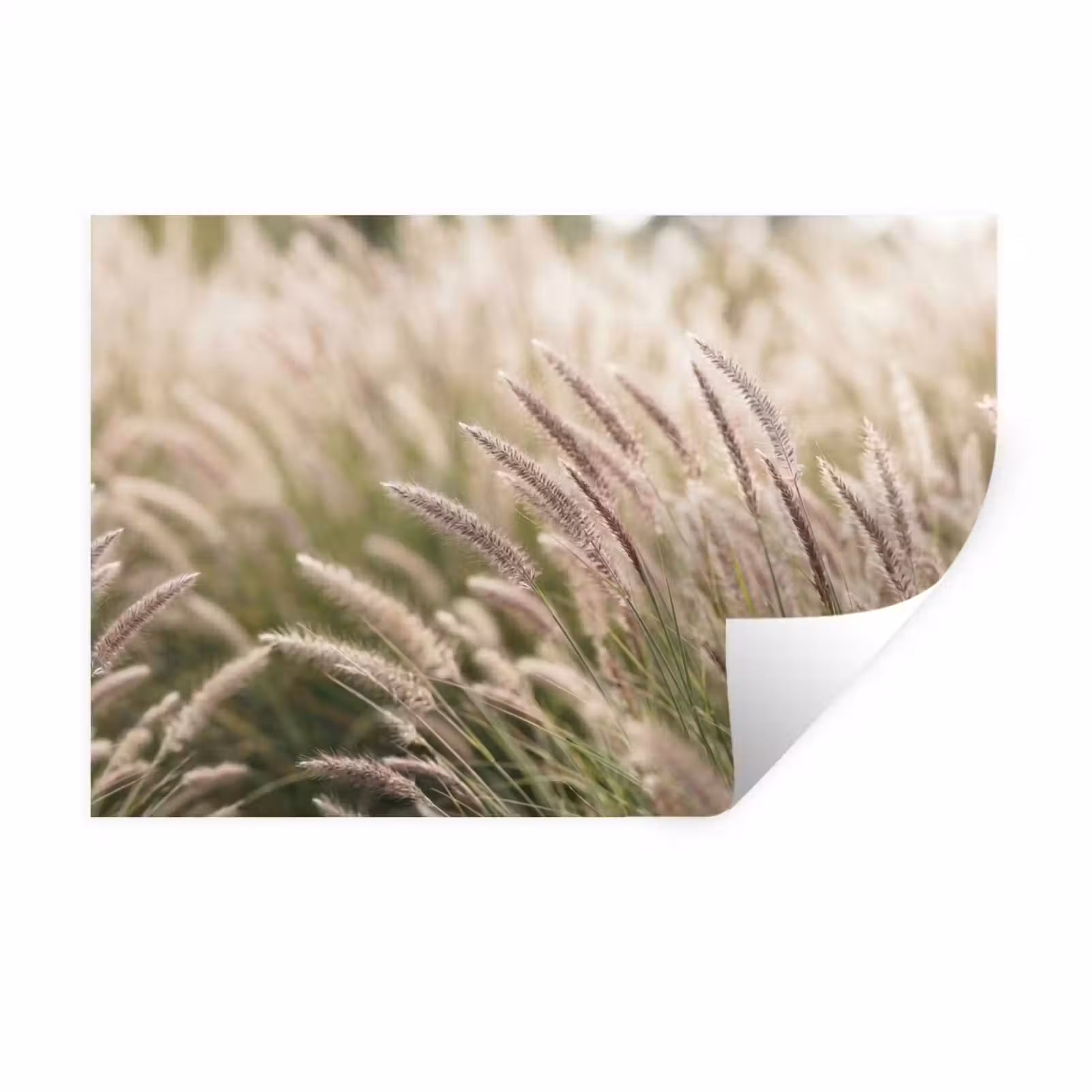 Muursticker - Gras - Close up - Groen — 1