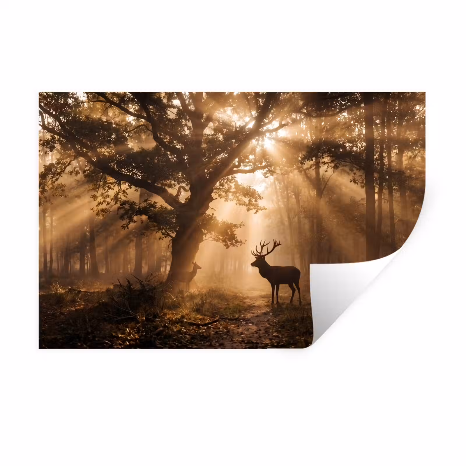 Muursticker - Hert - Bos - Mistig - Natuur - Goud — 1