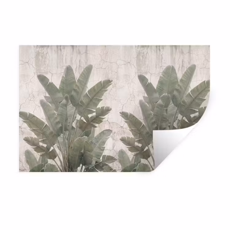 Muursticker - Bananenbladeren - Beton - Groen — 1