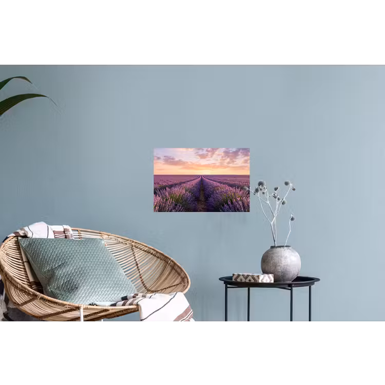 Muursticker - Landschap - Lavendelveld - Paars — 4