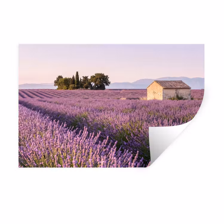 Muursticker - Lavendel - Landschap - Sereen - Paars — 1