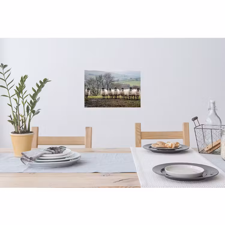 Muursticker - Schapen - Rij - Weide - Dieren - Platteland — 3