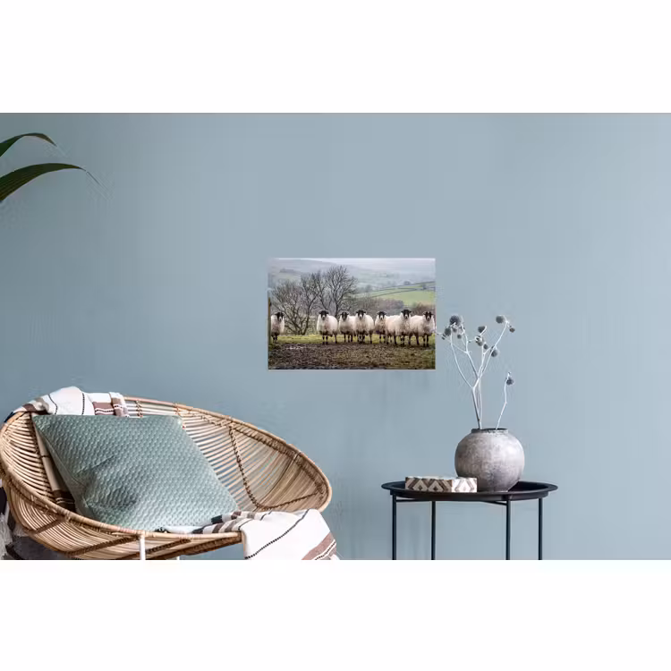 Muursticker - Schapen - Rij - Weide - Dieren - Platteland — 4
