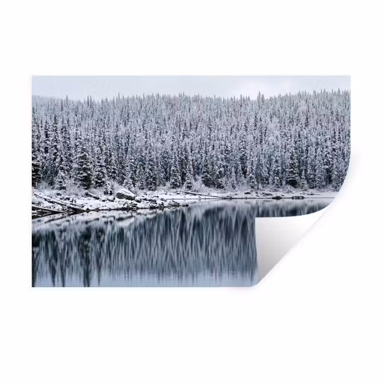 Muursticker - Bos - Reflectie - Meer - Winter - Serene — 1