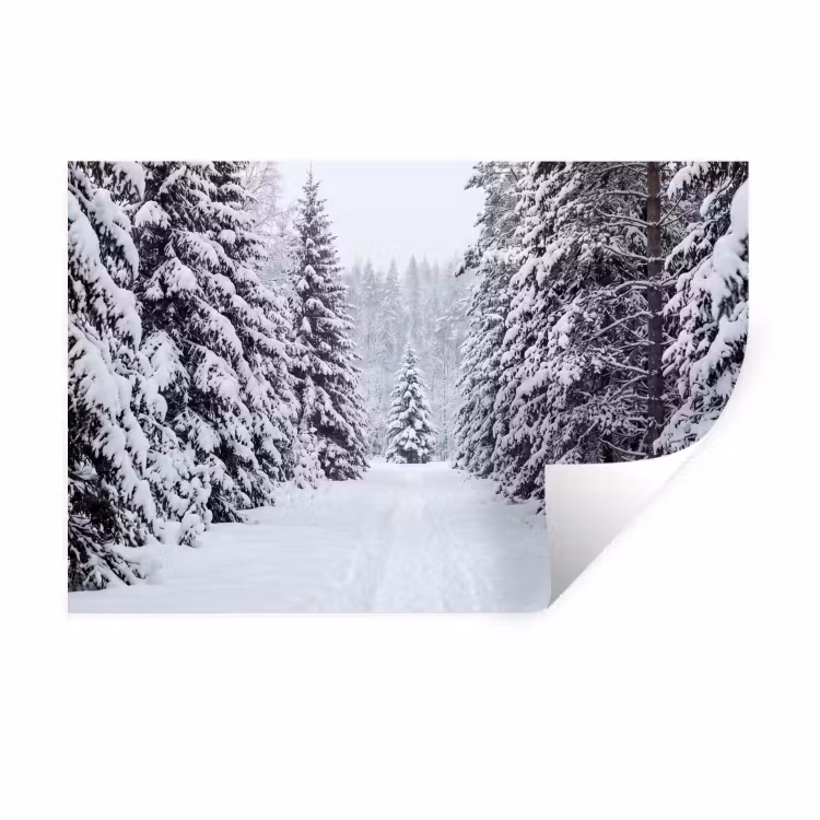 Muursticker - Bos - Winter - Sneeuw - Pad - Natuur — 1