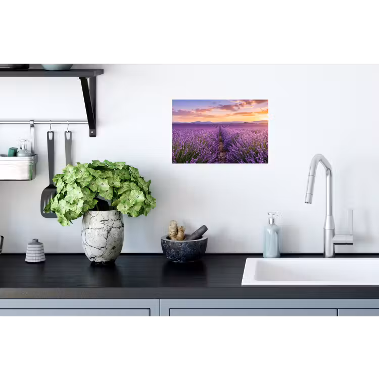 Muursticker - Lavendel - Veld - Natuur - Paars — 2