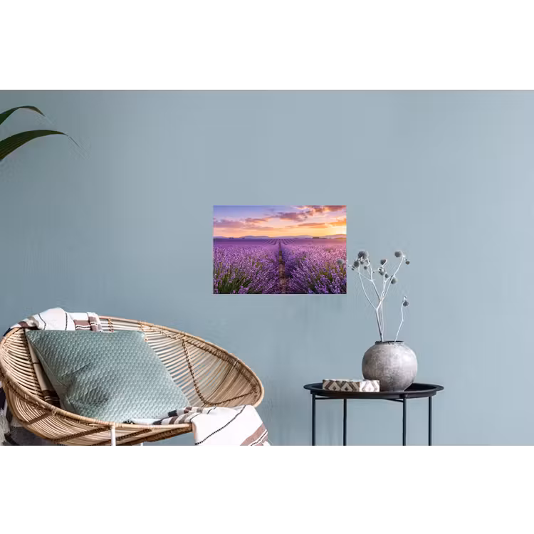Muursticker - Lavendel - Veld - Natuur - Paars — 4