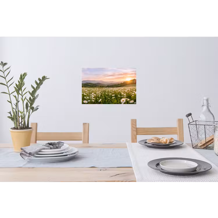 Muursticker - Madelief - Veld - Heuvels - Groen — 3