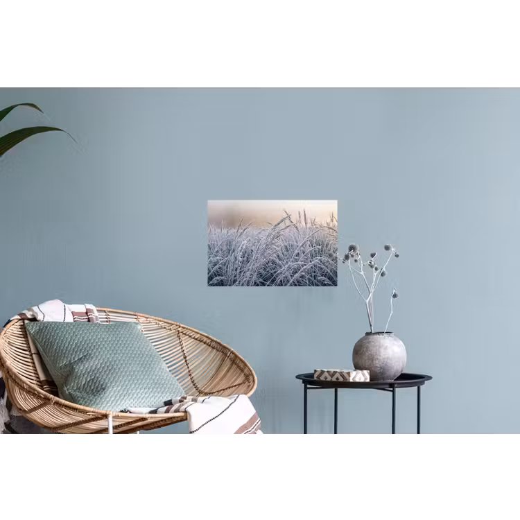 Muursticker - Rijp - Gras - Kristallen - Winter - Minimalistisch — 4