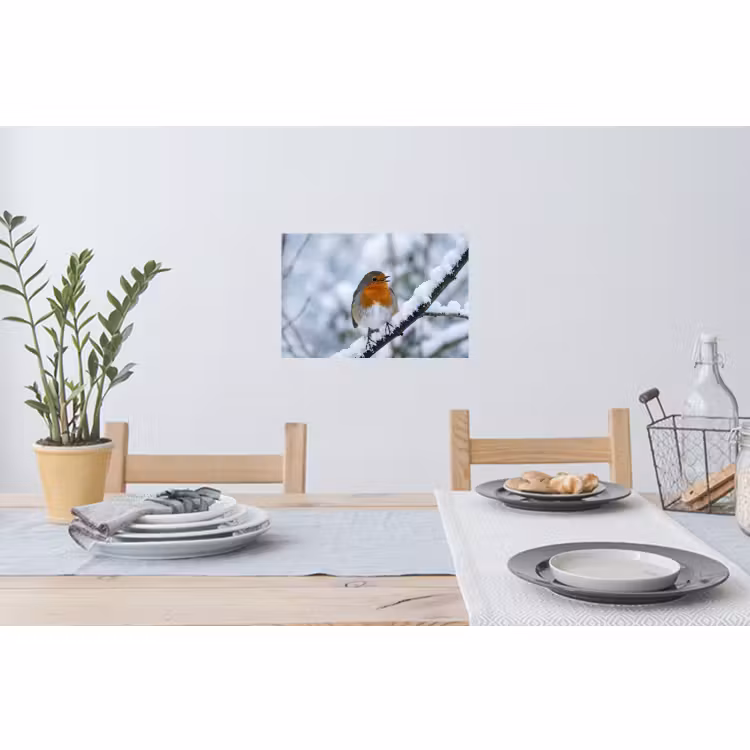 Muursticker - Roodborstje - Tak - Sneeuw - Winter - Levendig — 3