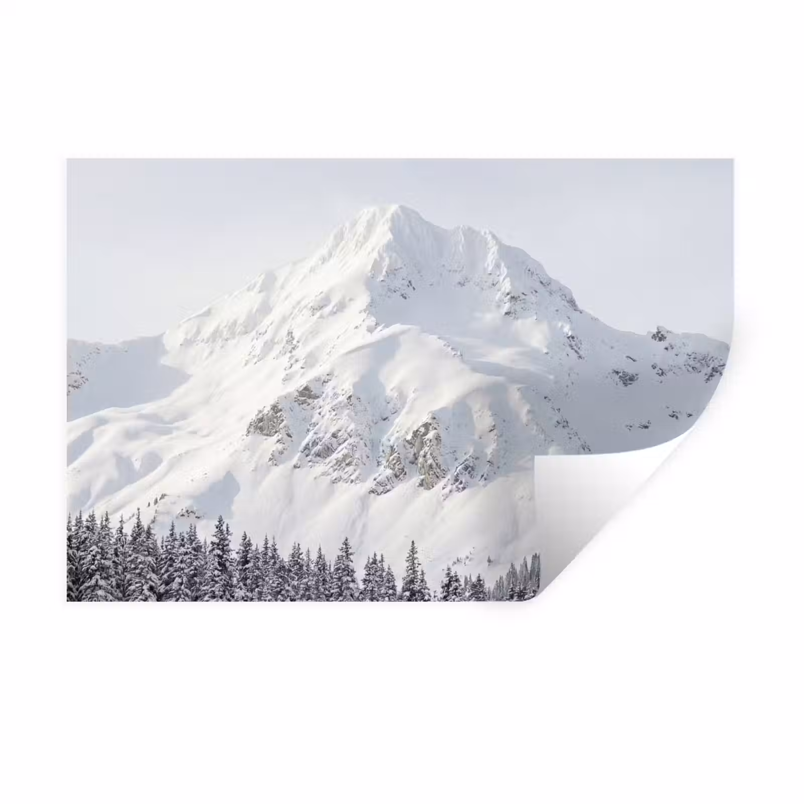 Muursticker - Berg - Sneeuw - Winter - Natuur - Wit — 1