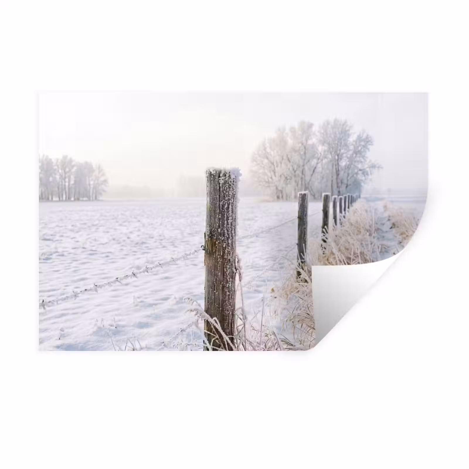 Muursticker - Hek - Sneeuw - Mist - Platteland - Nostalgisch — 1