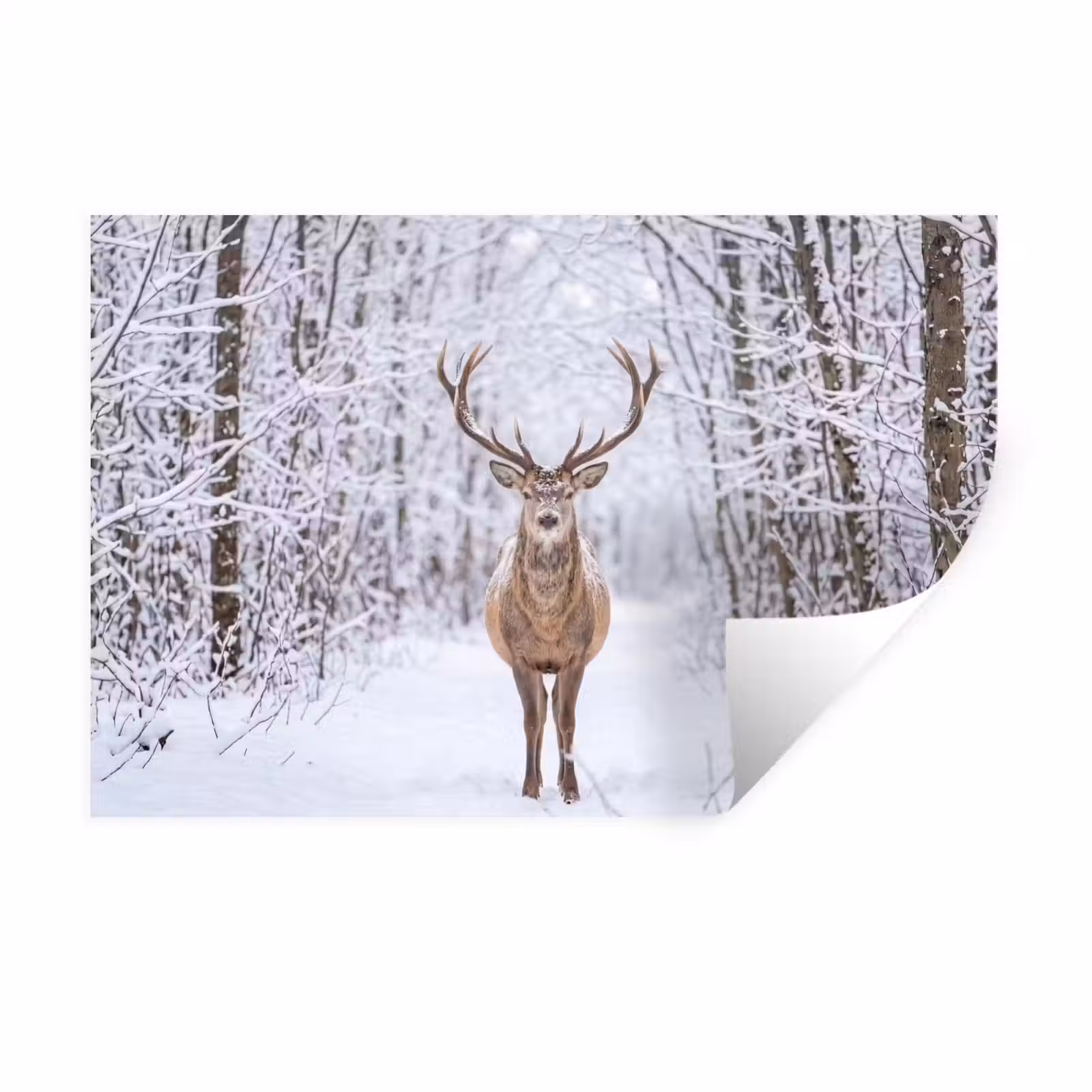 Muursticker - Hert - Winter - Bos - Natuur - Wit — 1