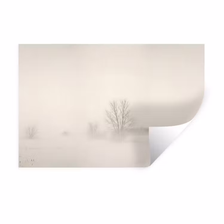Muursticker - Boom - Mist - Sneeuw - Winter - Minimalistisch — 1