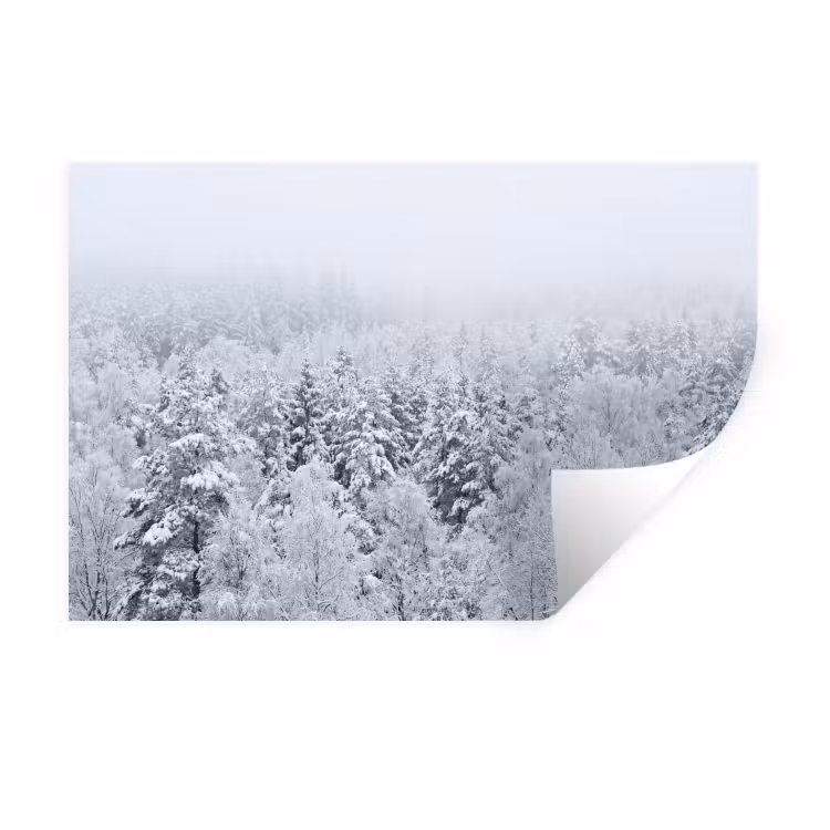 Muursticker - Bos - Sneeuw - Winter - Natuur - Wit — 1