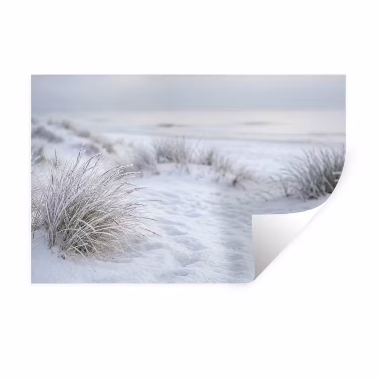Muursticker - Duinen - Sneeuw - Strand - Winter - Serene — 1