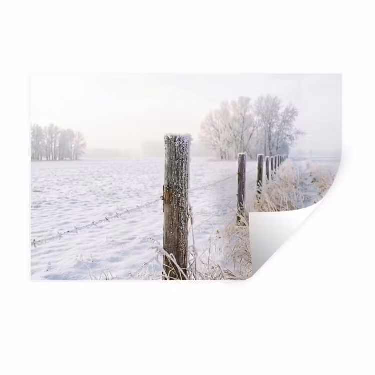Muursticker - Hek - Sneeuw - Mist - Platteland - Nostalgisch — 1