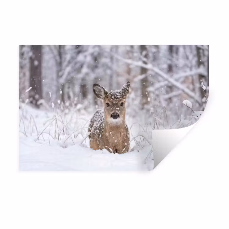 Muursticker - Hert - Sneeuw - Bos - Dieren - Vertederend — 1