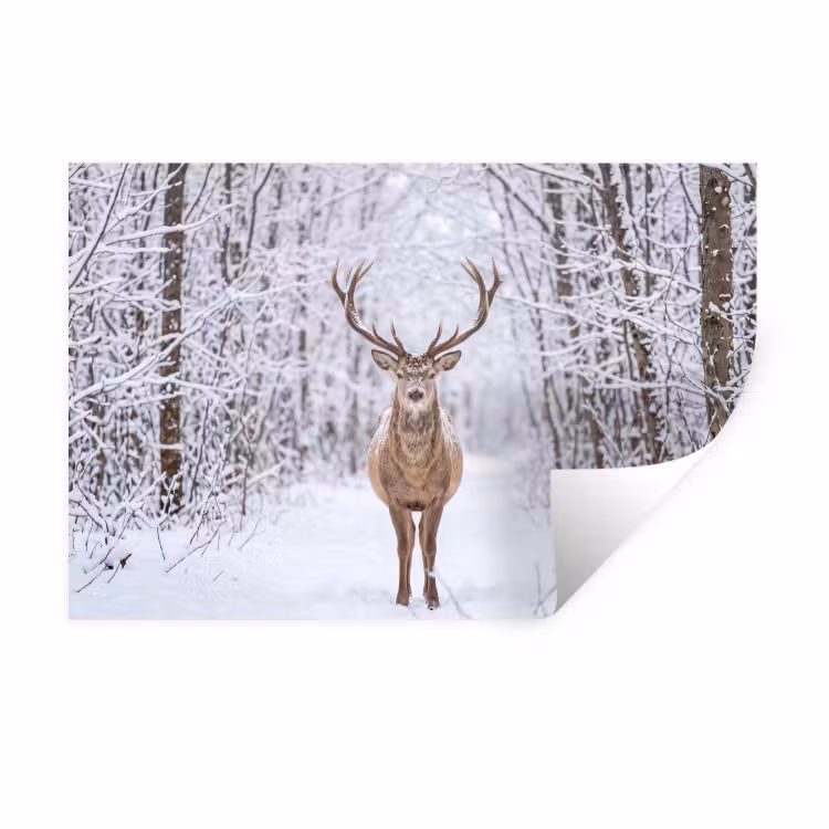 Muursticker - Hert - Winter - Bos - Natuur - Wit — 1