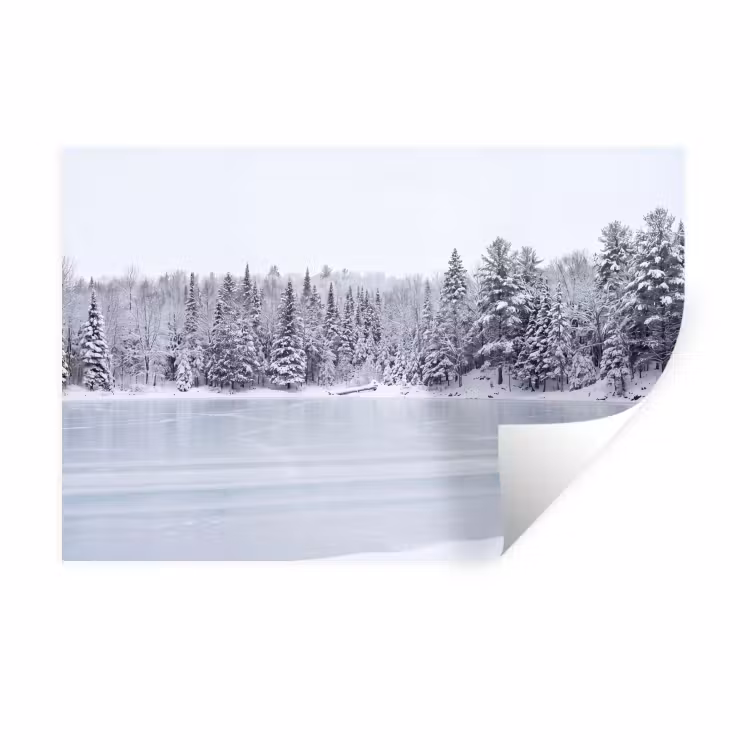 Muursticker - Meer - Dennen - IJs - Winter - Rustgevend — 1