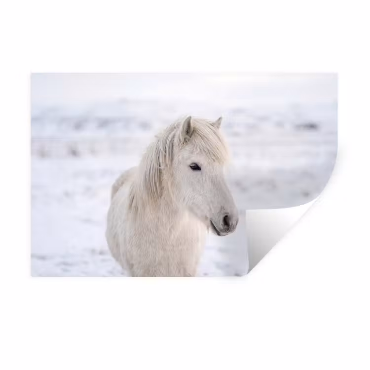 Muursticker - Paard - Kop - Winter - Dieren - Wit — 1