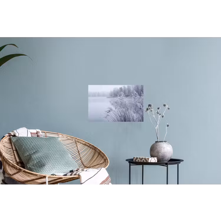 Muursticker - Riet - Bevroren - Winter - Natuur — 4
