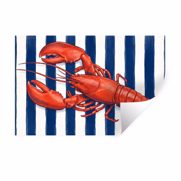 Muursticker - Schaaldier - Kreeft - Marine - Illustratie - Rood — 1