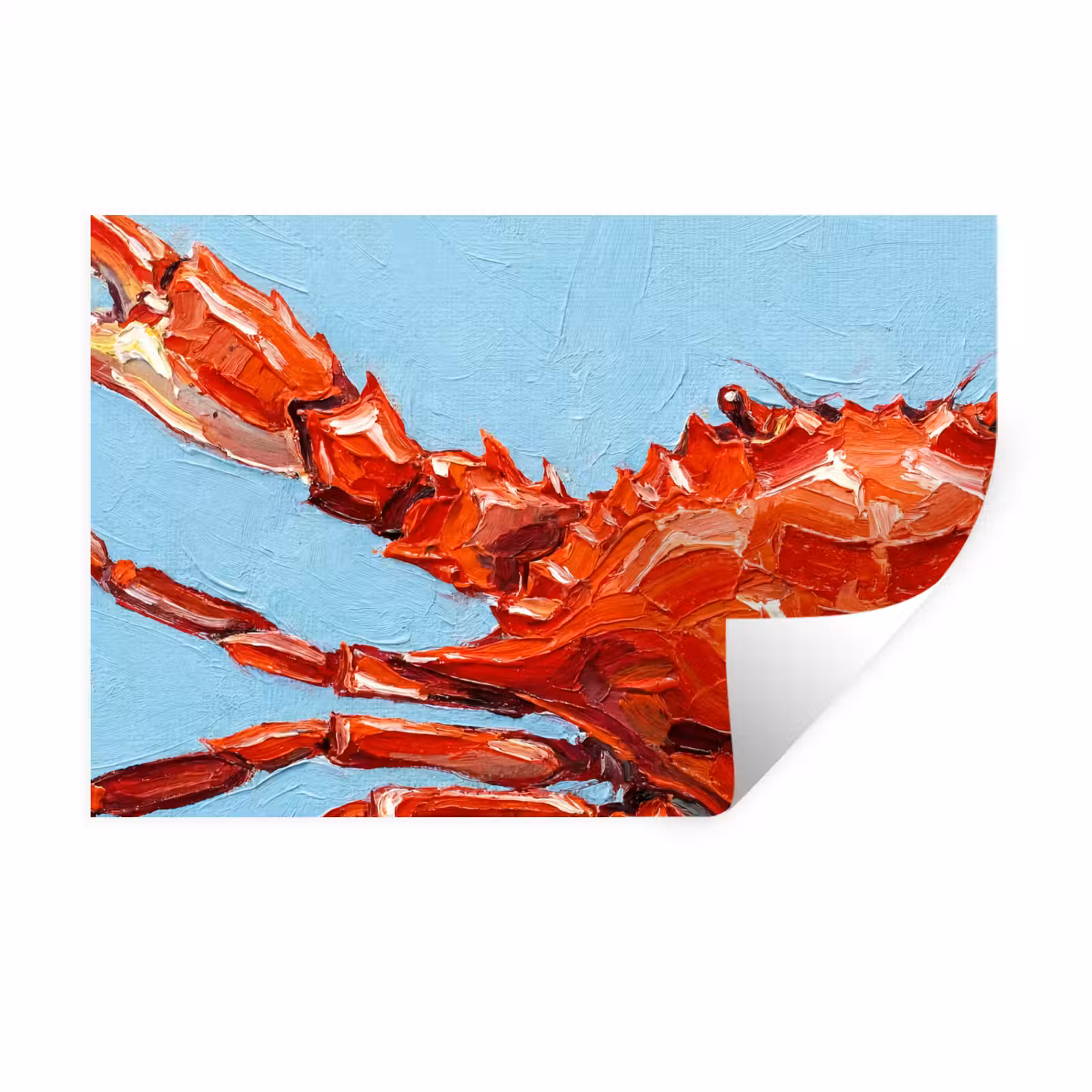 Muursticker - Krab - Zee - Dieren - Abstract - Rood — 1