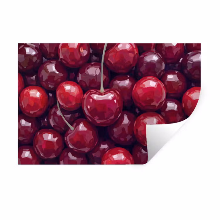 Muursticker - Fruit - Kersen - Eten - Modern - Rood — 1