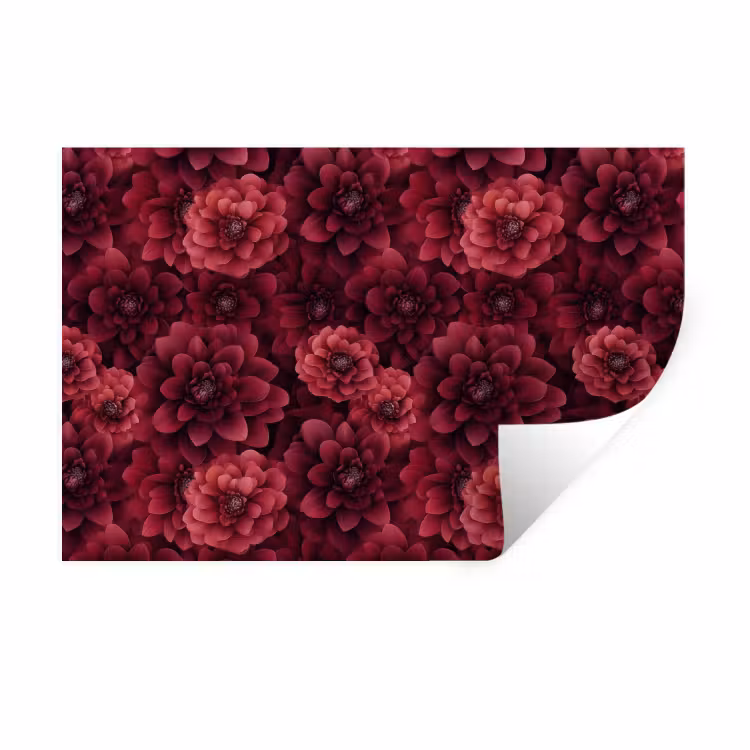 Muursticker - Dahlias - Bloemen - Rood — 1