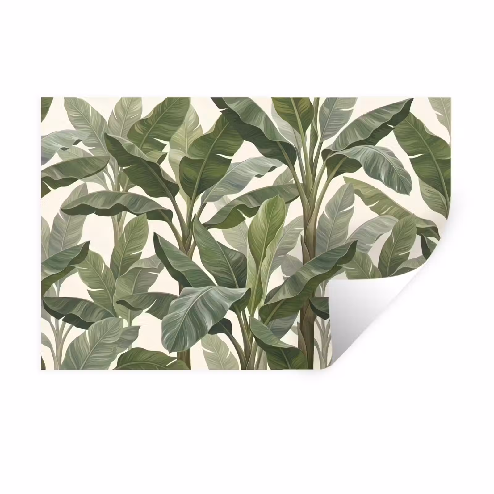 Muursticker - Planten - Bladeren - Tropisch - Groen — 1