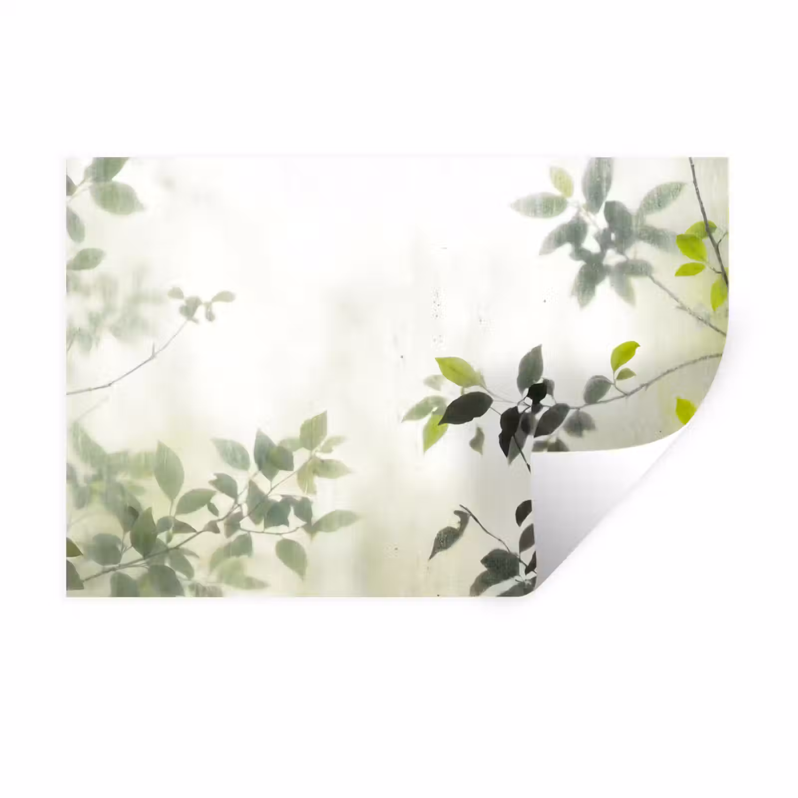 Muursticker - Blad - Schaduw - Natuur - Abstract - Groen — 1